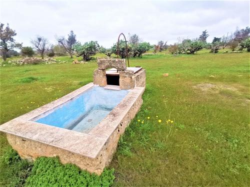 Terreno Agricolo in vendita a Alezio