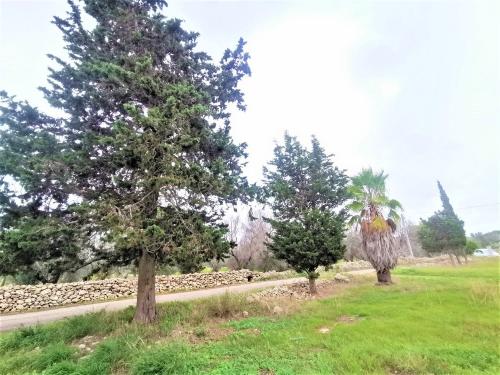 Terreno Agricolo in vendita a Alezio