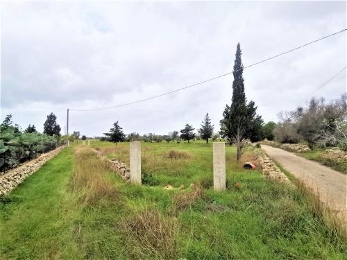 Terreno Agricolo in vendita a Alezio