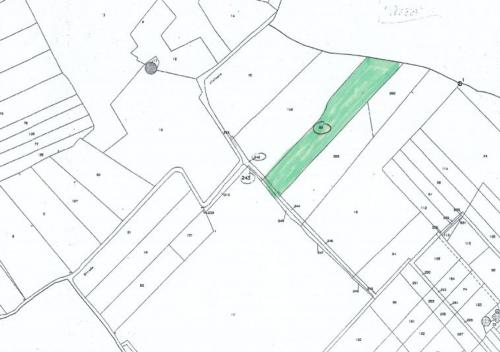 Terreno Agricolo in vendita a Alezio