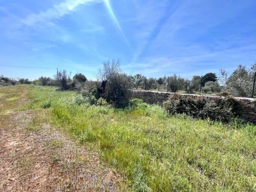 Terreno edificabile in vendita a Sannicola