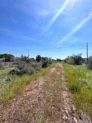 Terreno edificabile in vendita a Sannicola
