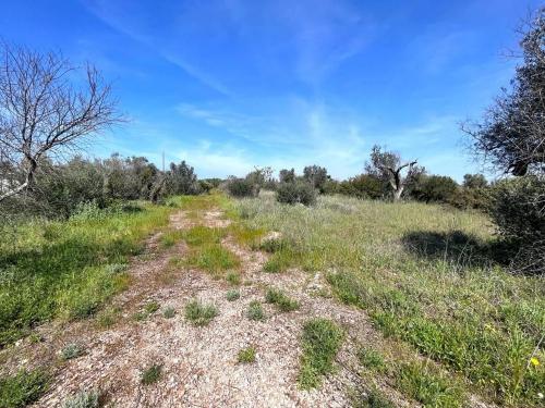 Terreno edificabile in vendita a Sannicola