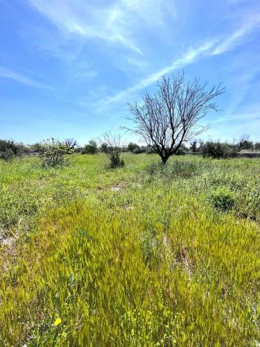 Terreno edificabile in vendita a Sannicola