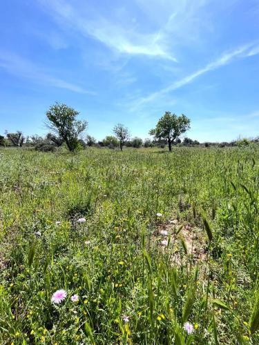 Terreno edificabile in vendita a Sannicola