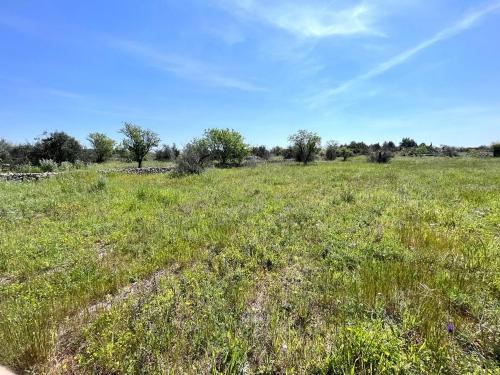 Terreno edificabile in vendita a Sannicola