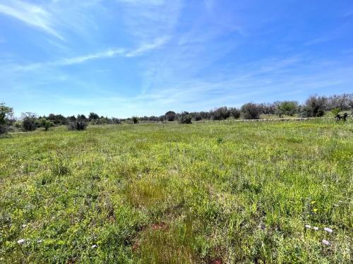 Terreno edificabile in vendita a Sannicola