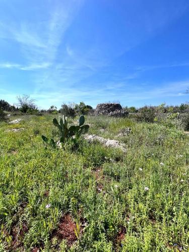 Terreno edificabile in vendita a Sannicola