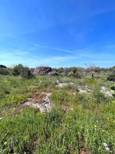 Terreno edificabile in vendita a Sannicola