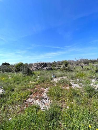 Terreno edificabile in vendita a Sannicola