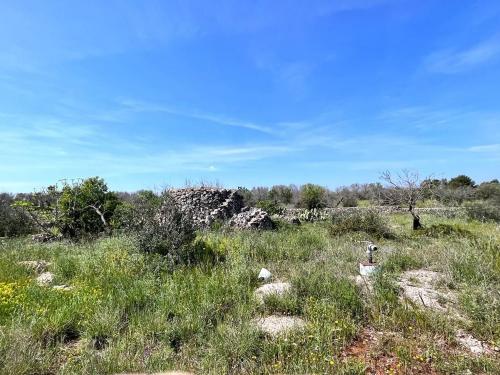 Terreno edificabile in vendita a Sannicola