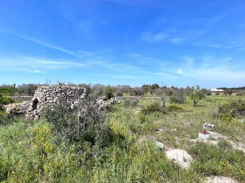 Terreno edificabile in vendita a Sannicola