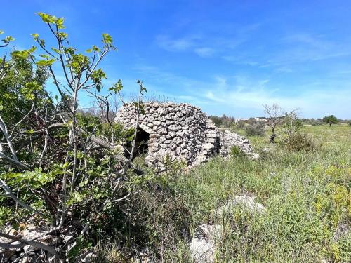 Terreno edificabile in vendita a Sannicola