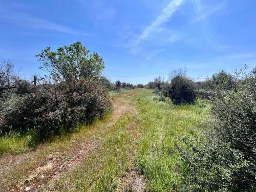 Terreno edificabile in vendita a Sannicola