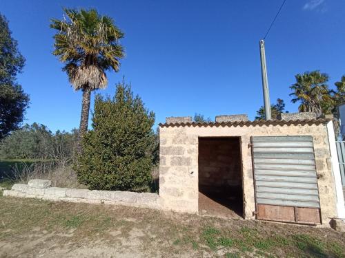 Terreno Agricolo in vendita a Gallipoli