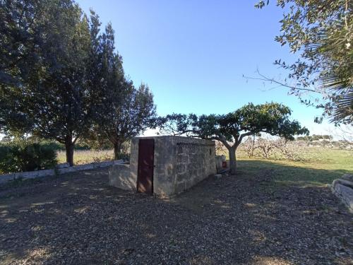 Terreno Agricolo in vendita a Gallipoli