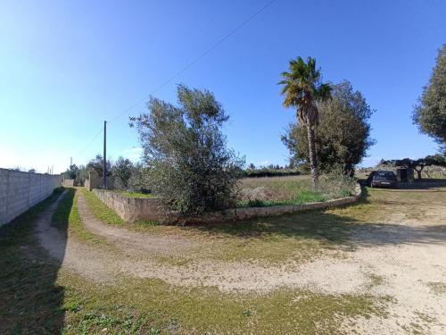 Terreno Agricolo in vendita a Gallipoli