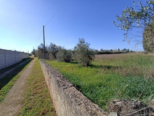 Terreno Agricolo in vendita a Gallipoli