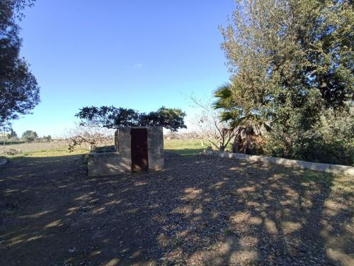 Terreno Agricolo in vendita a Gallipoli