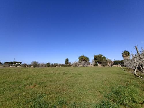 Terreno Agricolo in vendita a Gallipoli