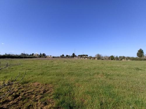 Terreno Agricolo in vendita a Gallipoli