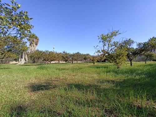 Terreno Agricolo in vendita a Gallipoli