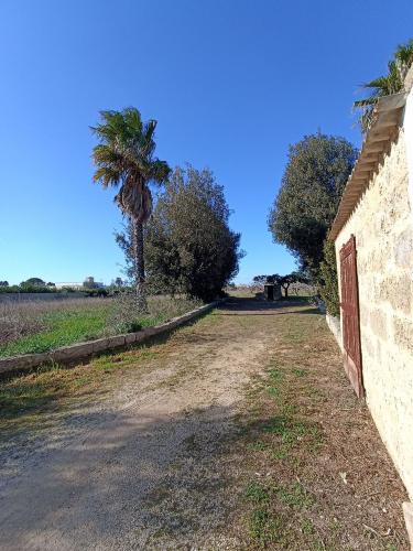 Terreno Agricolo in vendita a Gallipoli