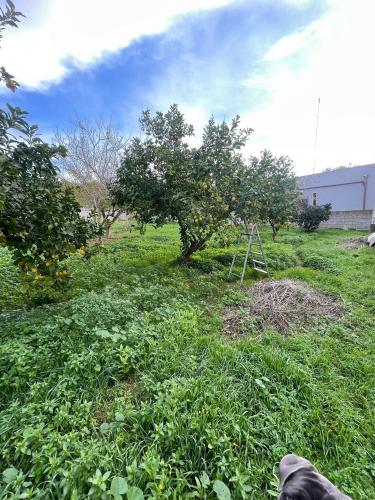 Terreno edificabile in vendita a Sannicola