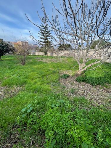 Terreno edificabile in vendita a Sannicola