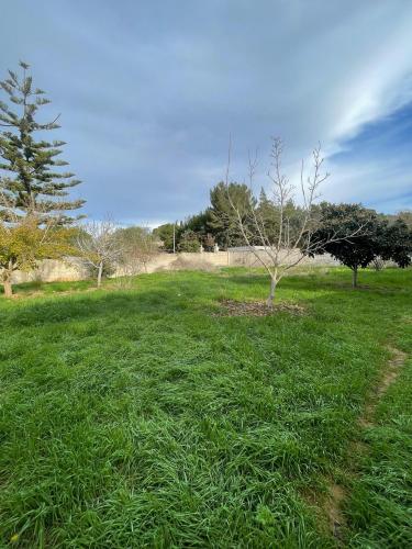 Terreno edificabile in vendita a Sannicola