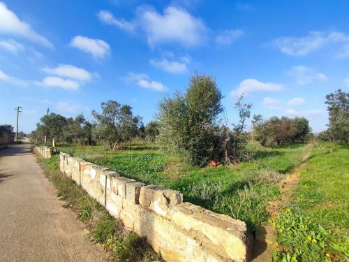 Terreno Agricolo in vendita a Tuglie