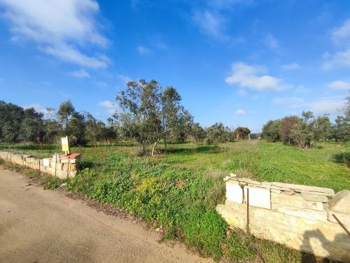 Terreno Agricolo in vendita a Tuglie