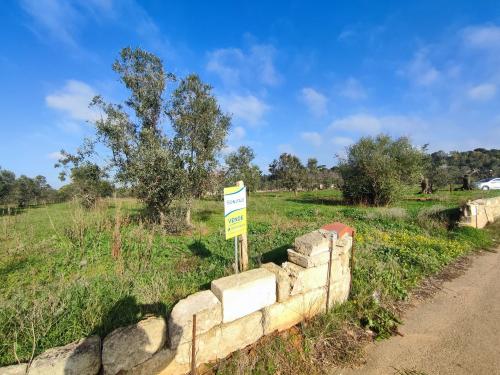 Terreno Agricolo in vendita a Tuglie