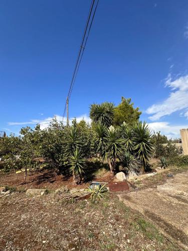 Casa singola in vendita a Parabita