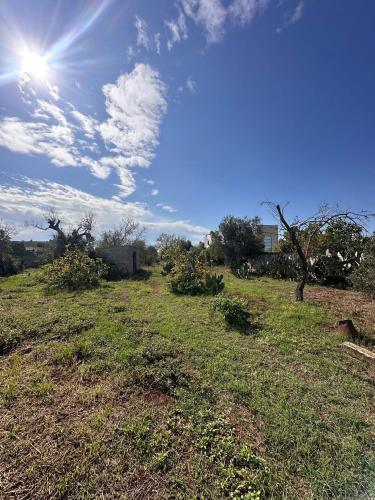 Casa singola in vendita a Parabita