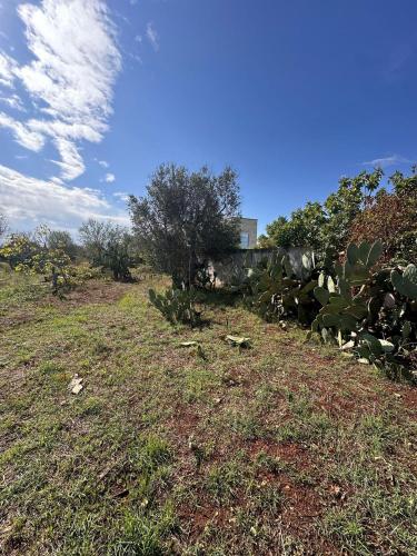 Casa singola in vendita a Parabita