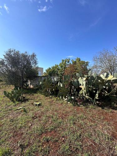 Casa singola in vendita a Parabita