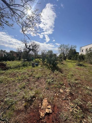 Casa singola in vendita a Parabita