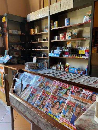 Attività commerciale in vendita a Alezio