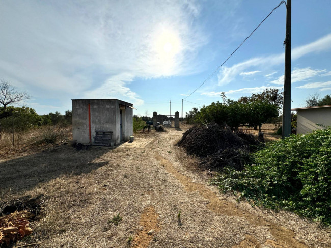 Terreno Agricolo in vendita a Gallipoli