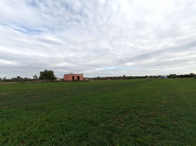 Terreno Agricolo in vendita a Alezio