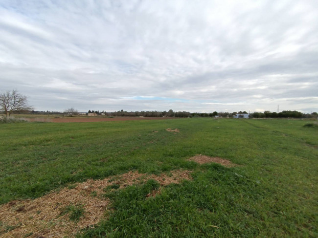 Terreno Agricolo in vendita a Alezio
