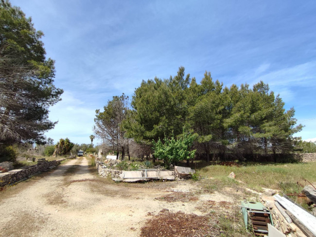 Casa singola in vendita a Sannicola