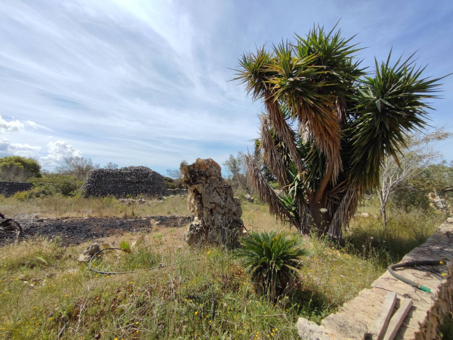 Casa singola in vendita a Sannicola