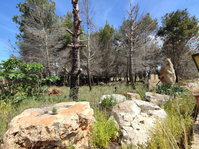 Casa singola in vendita a Sannicola