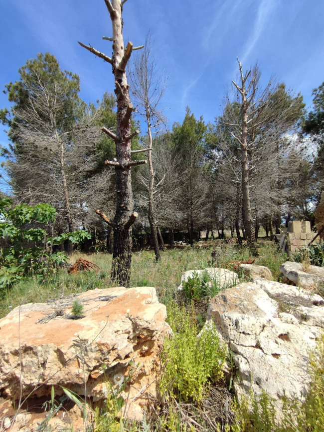 Casa singola in vendita a Sannicola