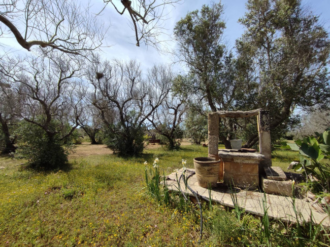 Casa singola in vendita a Sannicola