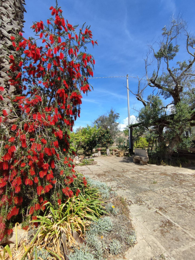 Casa singola in vendita a Sannicola