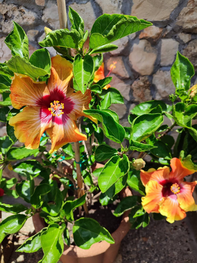 Villa in vendita a Galatone