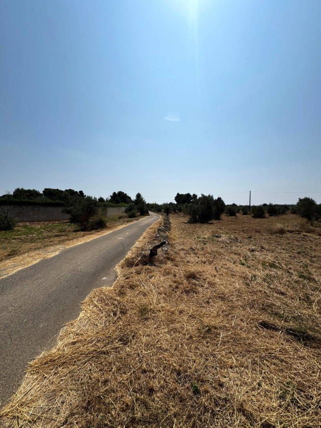 Terreno Agricolo in vendita a Sannicola